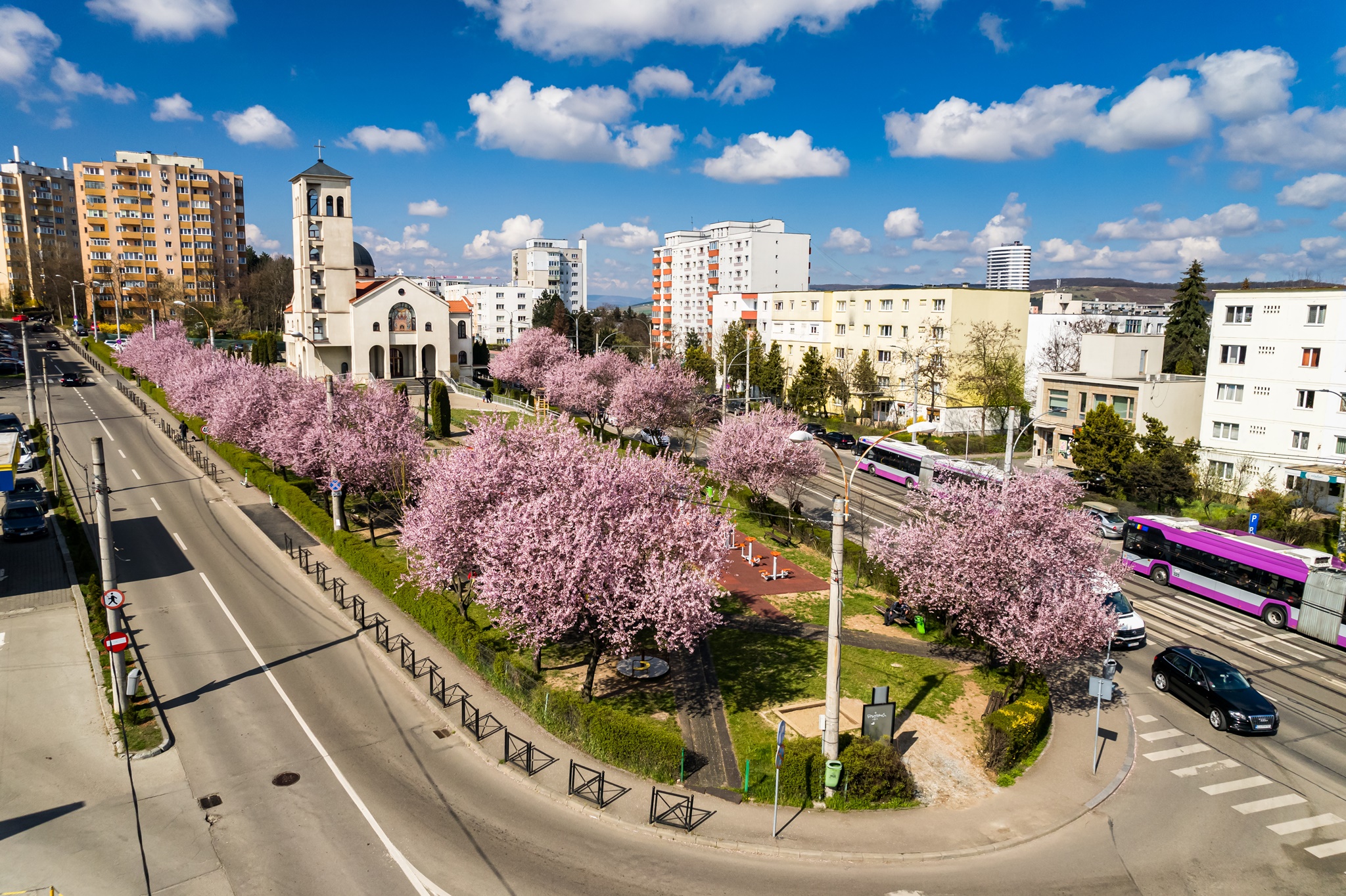 Clujul a îmbrăcat straie de sărbătoare! Sursa foto: Facebook/ Emil Boc