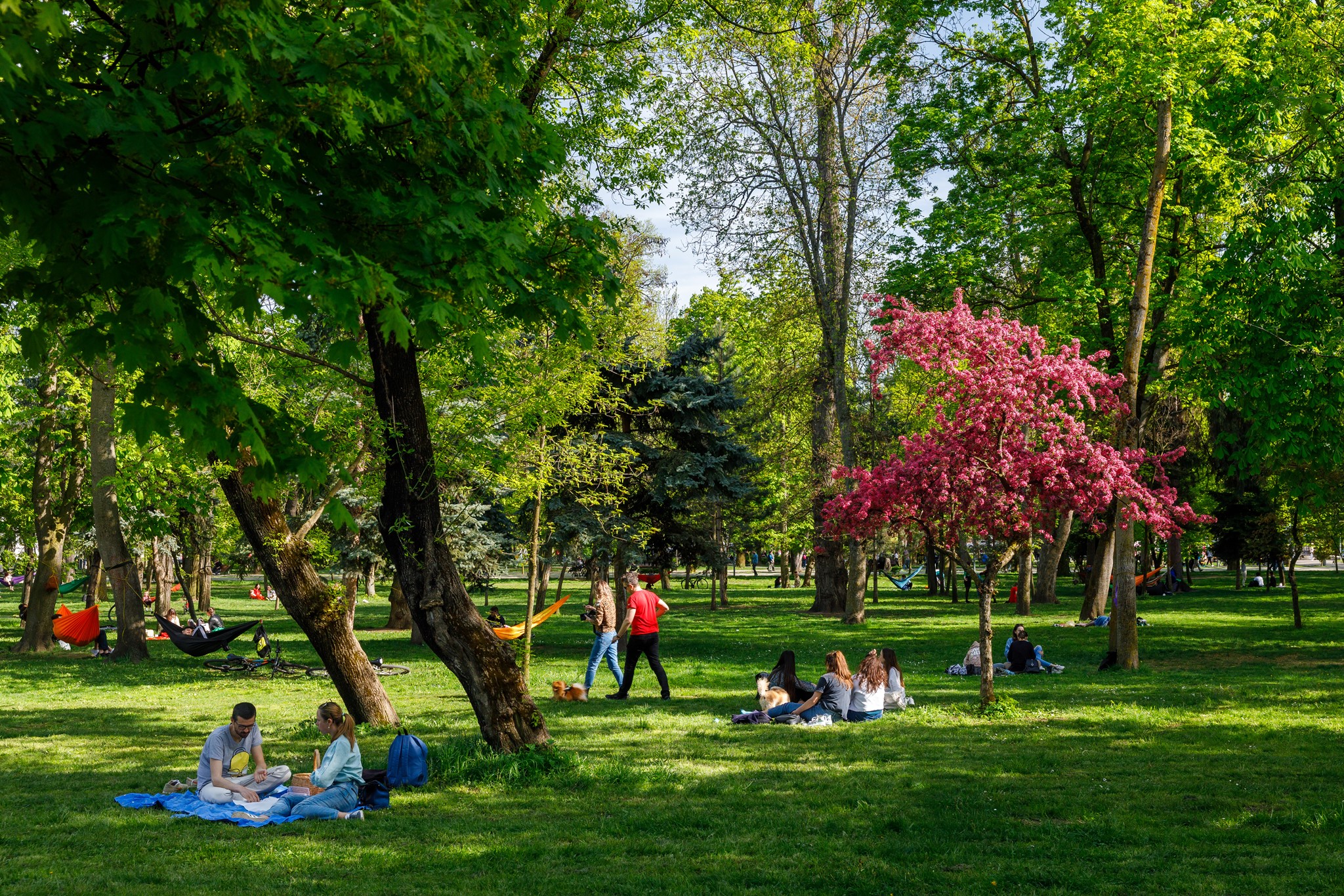Urmează încă o minivacanță pentru angajați. FOTO: Facebook/ Emil Boc