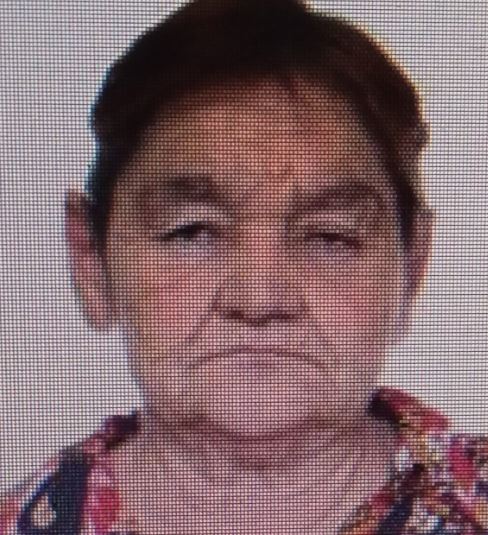 O femeie de 68 de ani este căutată de familie și poliție după ce nu ar fi revenit la adresa de domiciliu/Foto: IPJ Cluj