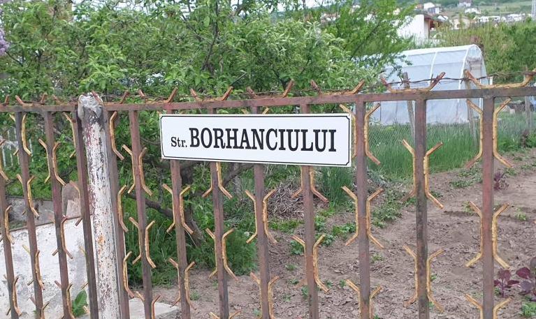 Gospodăriile localnicilor din Borhanci