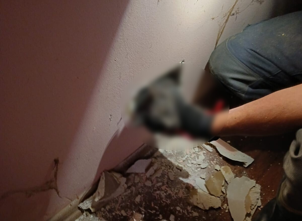 Pompierii clujeni s-au mobilizat pentru a salva o pisică blocată în peretele unei case din Dej/ Foto: ISU Cluj