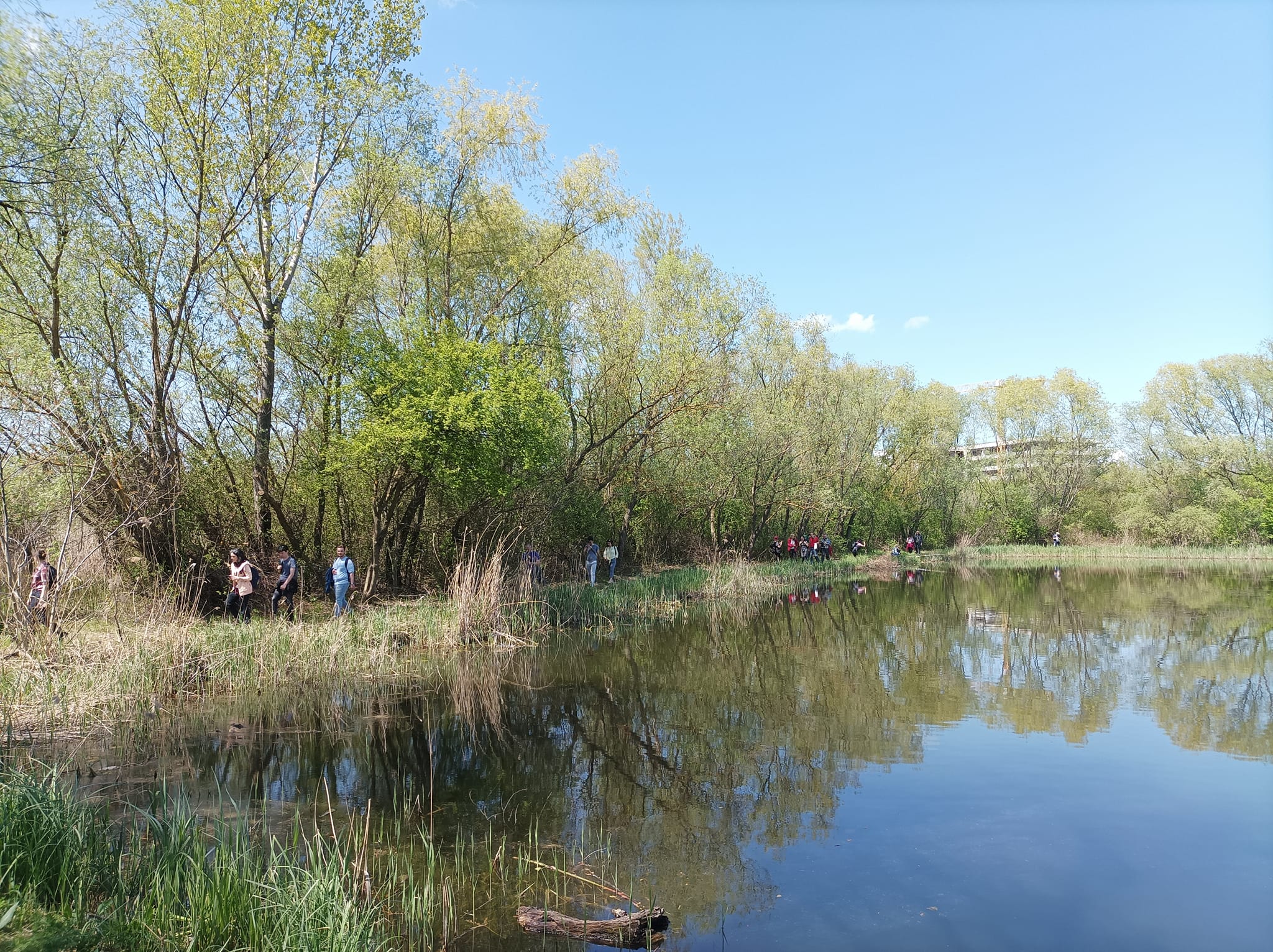 Clujeni