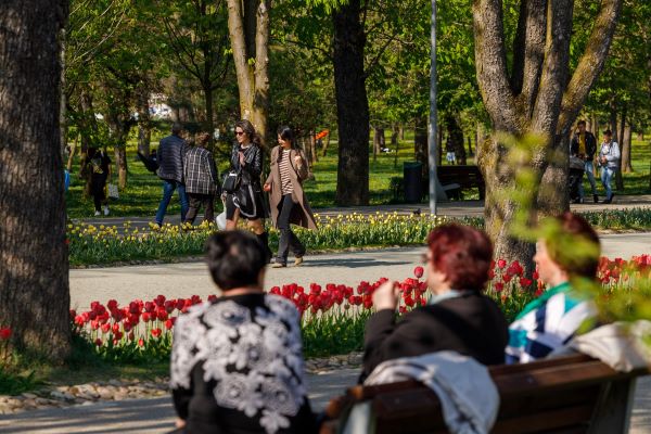 Vremea în următoarele 5 zile în Cluj-Napoca va fi una plăcută