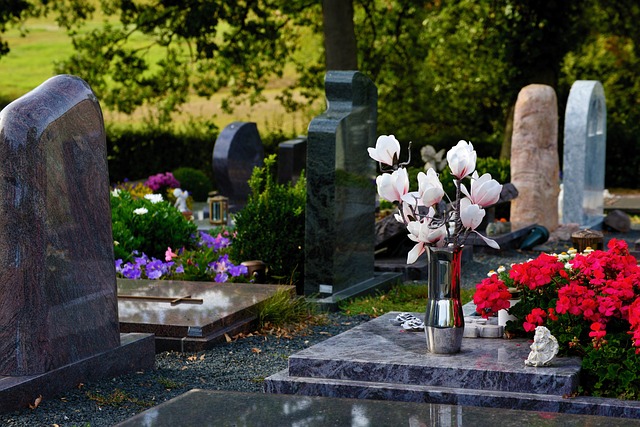 Morminte / Foto: pixabay.com