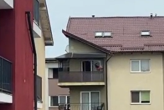 O fetiţă a fost filmată în timp ce se balansează într-un leagăn