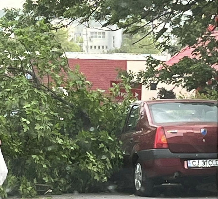 sursă foto Facebook Info Trafic Cluj-Napoca