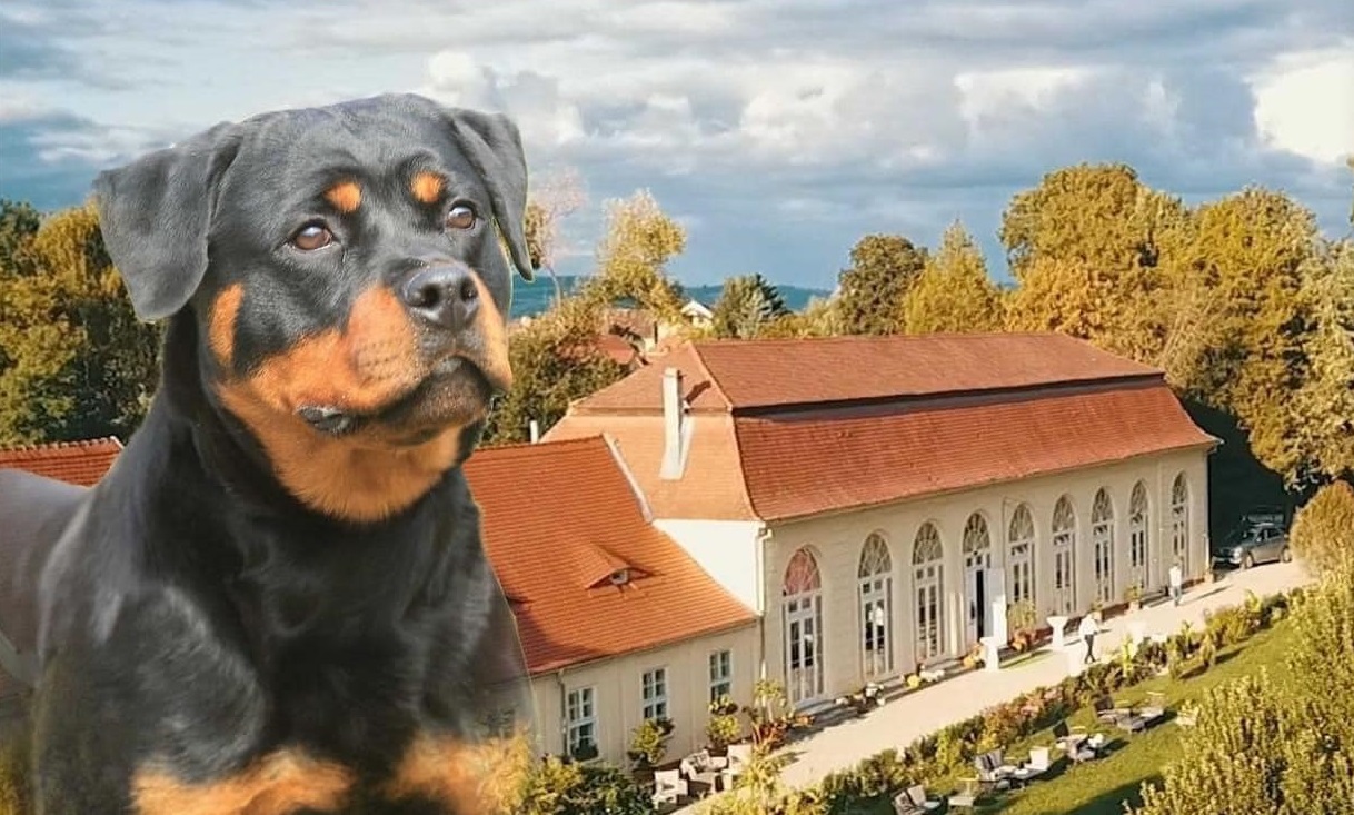 foto Facebook Palatul Brukenthal Avrig