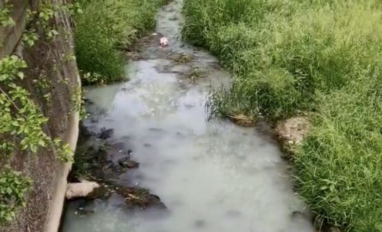 Valea Salcă din Dej