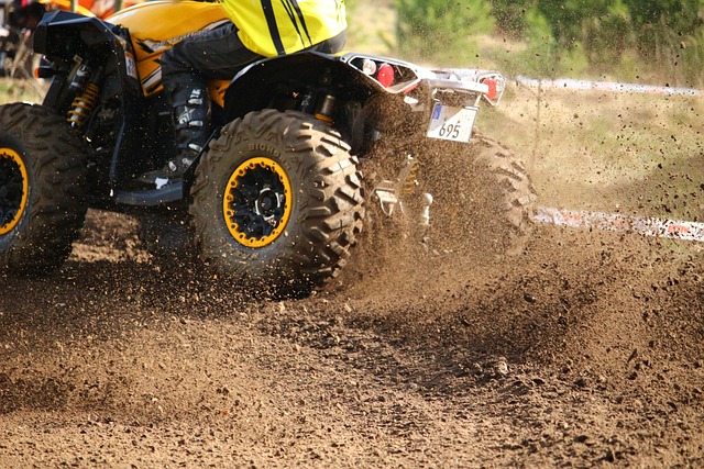 Minora s-a speriat de un ATV condus din sens opus/ Foto: pixabay.com