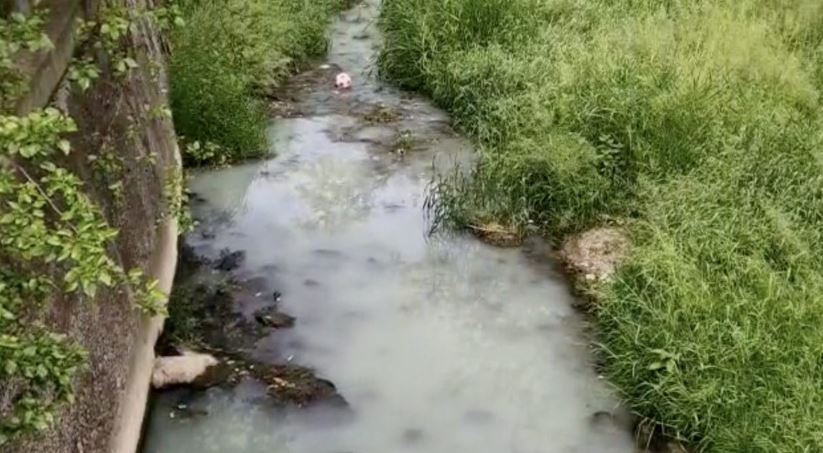 Valea Salcă din Dej