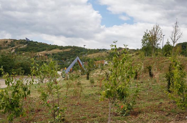 „Pădurea Clujenilor”. La distanță de un an de la încheierea lucrărilor