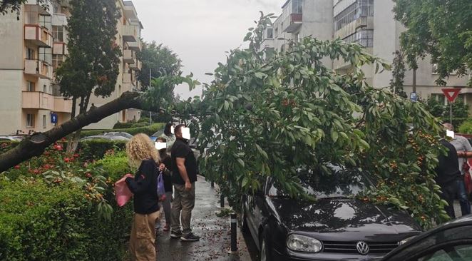 Clujenii s-au pus pe cules cireșe după ce un copac a căzut peste o mașină / Foto: Info Trafic jud. Cluj