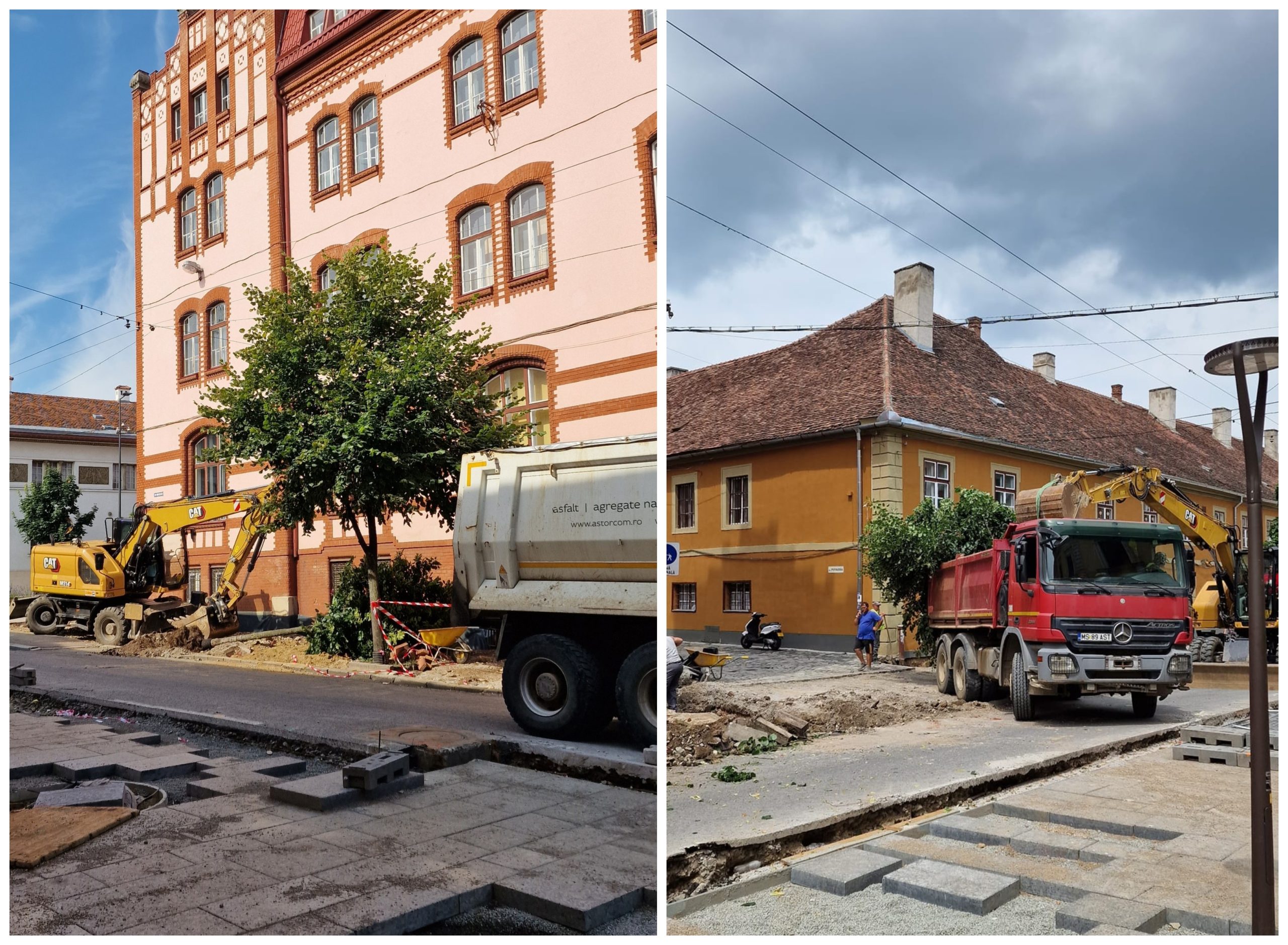 Petiție pentru păstrarea arborilor de pe străzile Kogălniceanu și Universității. FOTO: Facebook/ Andi Daiszler