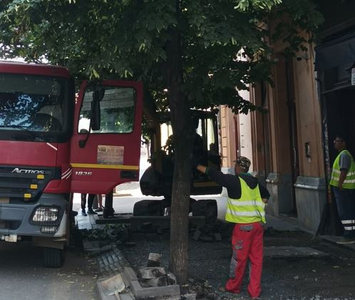 Dezbatere fără soluții concrete pe tema relocării arborilor de pe strada Universității/Foto: Adrian Dohotaru Facebook.com