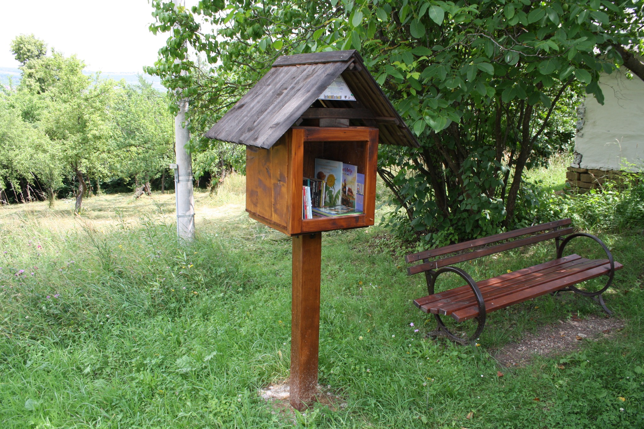 Lectură în parc / Foto: Consiliul Județean Cluj