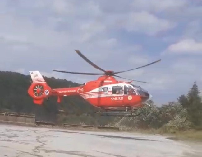 Bărbat rănit după ce un copac a căzut peste el