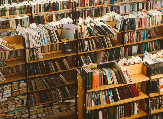 Ploșnițe la Biblioteca Națională/Foto: pexels.com