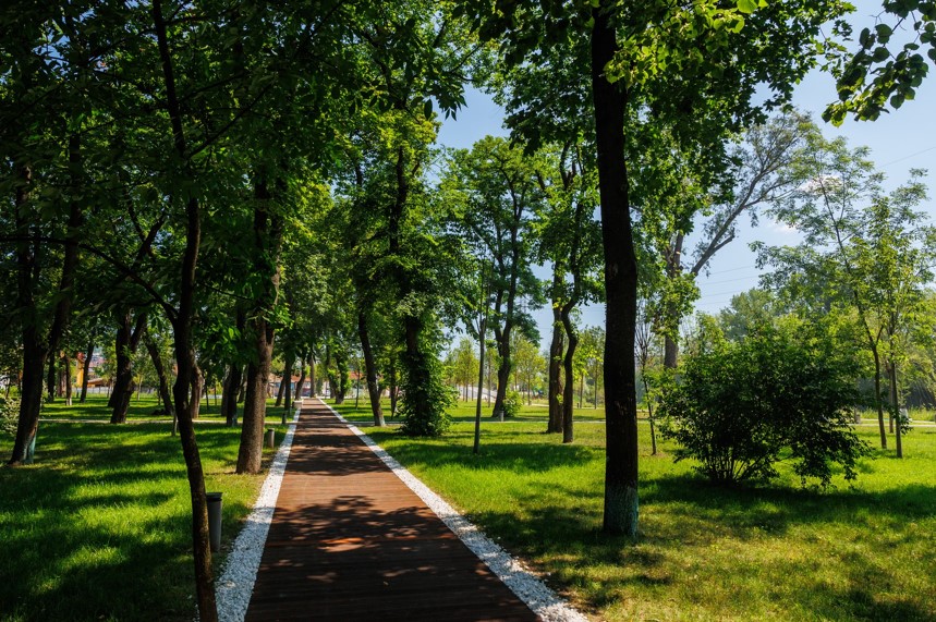 Parcul Armătura e gata / Foto: Facebook - Emil Boc