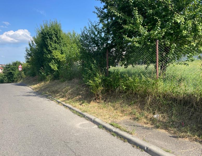 Strada Plaiuri: trotuar acoperit de pământ și buruieni. Pietonii