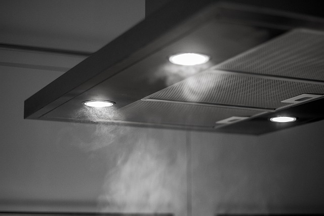 Hotă electrică/ Foto: pixabay.com