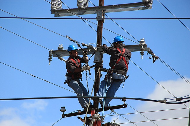 Persoane pe stâlpul de electricitate/ Foto: pixabay.com