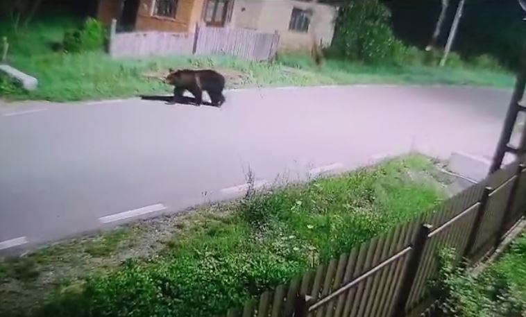 În localitatea Recea Cristur