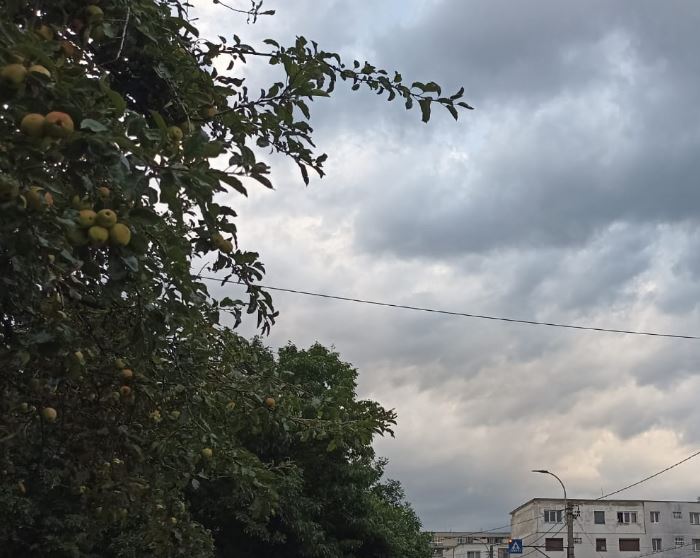 Avertizare meteo de vijelii