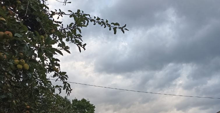 Vreme instabilă și ploi