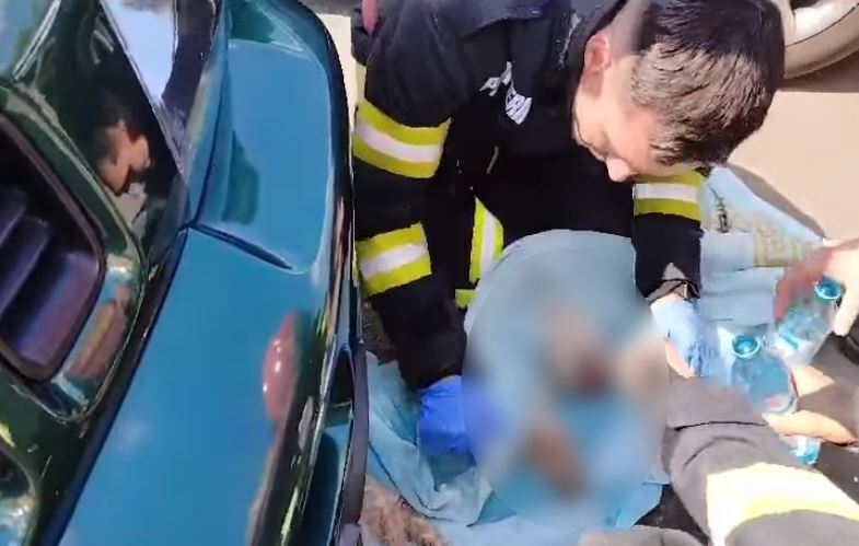 Acțiune de salvare a unui patruped/Foto: Federația pentru Drepturile Animalelor Transilvania Facebook.com