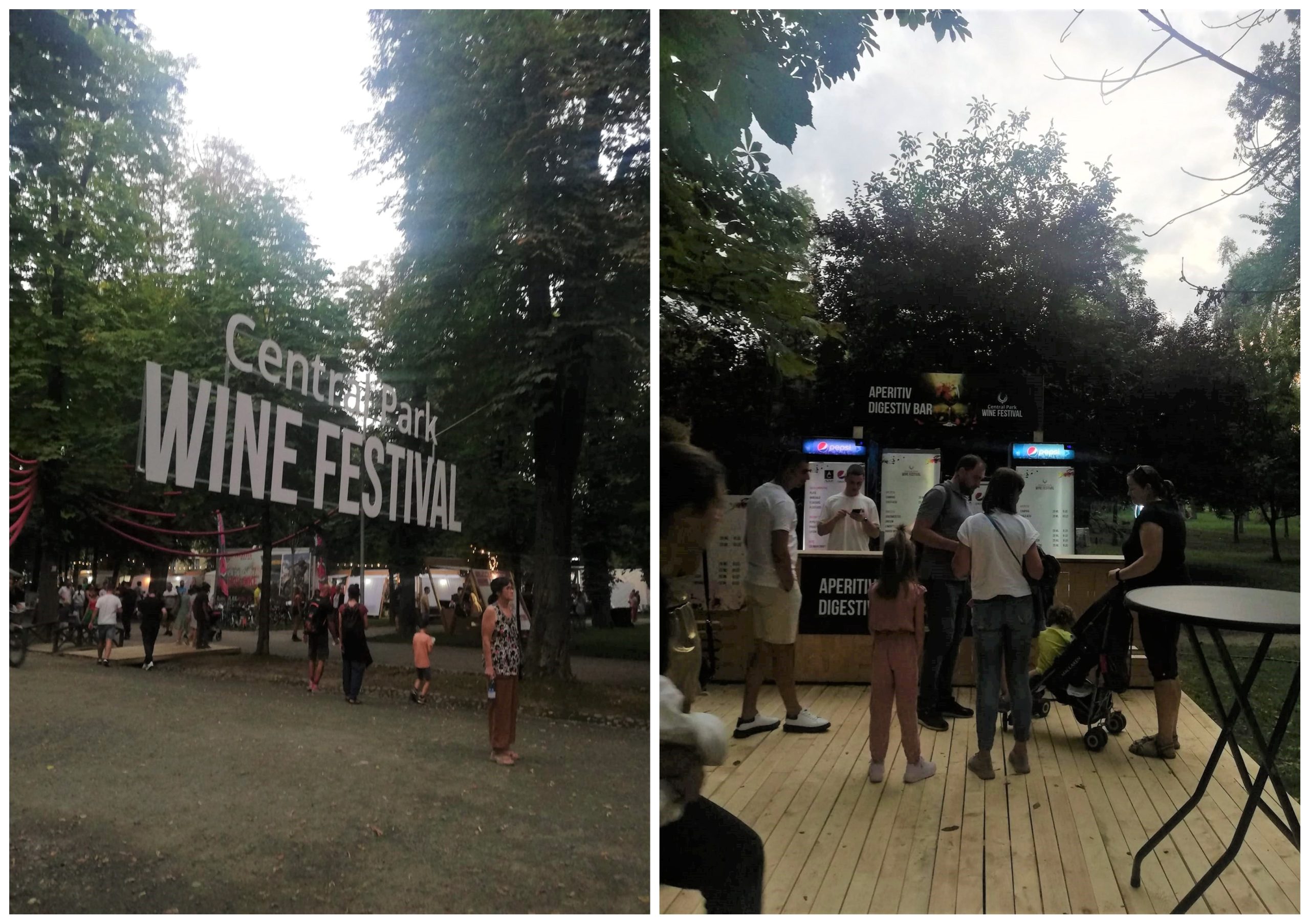 Află totul despre vin