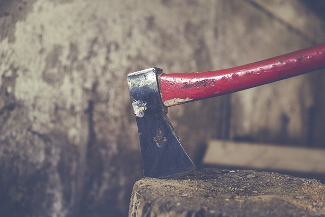 Copilul și-a lovit tatăl cu mai multe lovituri de topor în cap/ Foto: pixabay.com