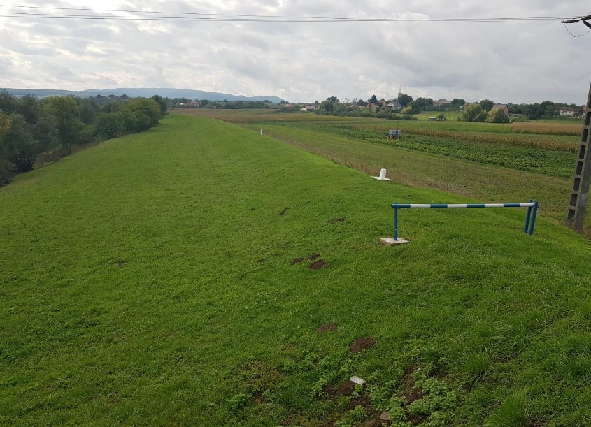 Circulația auto și trecerea animalelor