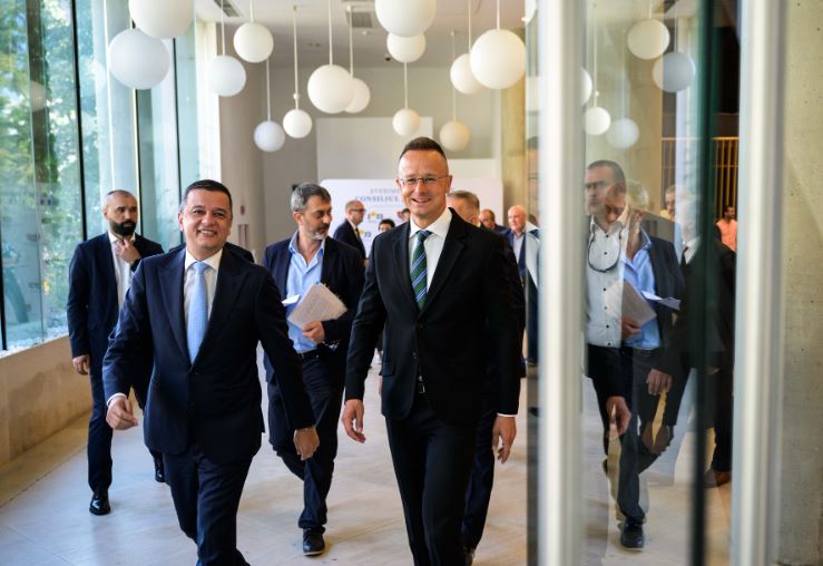 În imagine: Sorin Grindeanu