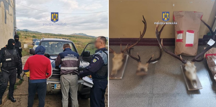 Percheziții la persoane bănuite de braconaj în județul Cluj / Foto: IPJ Cluj