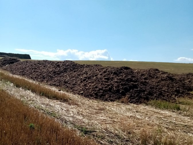 Găinațul din Aiton de la care ar fi putut porni mirosul din Cluj / Foto: monitorulcj.ro