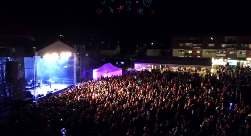 Ediția Florești Fest din 2022 / Foto: Florești Fest - Facebook