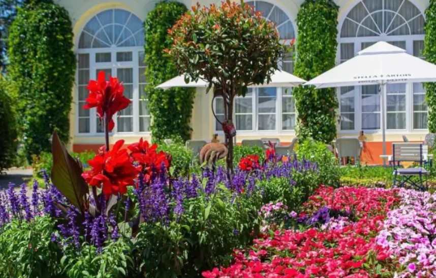 Cea de-a treia săptămână a „Festivalului Cartofului” la Palatul Brukenthal din Avrig vine cu noutăți ce vor îmbogăți experiența culinară/ Foto: Palatul Brukenthal Avrig