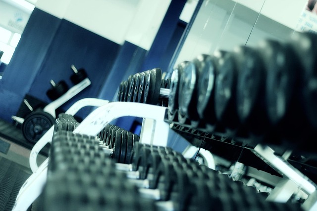 Bărbatul a murit după ce s-a antrenat la sala de forță/ Foto: pixabay.com