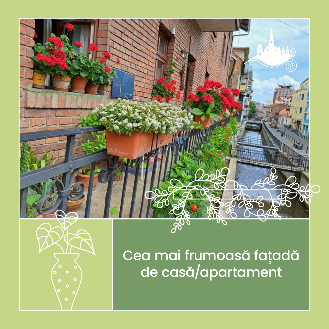 Foto fațadă