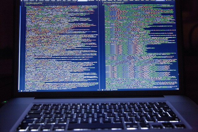 Patru din zece români declară că au întâmpinat mai multe fraude sau tentative de fraudă online în ultimele 12 luni/ Foto: pixabay.com