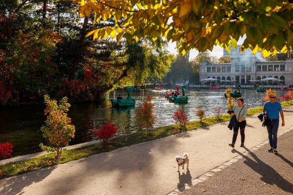 Parcul Central din Cluj-Napoca/ Foto: Emil Boc - Facebook