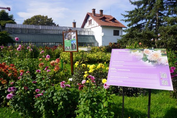 Grădina Botanică din Cluj-Napoca/ Foto: Grădina Botanică
