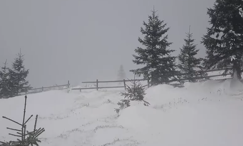 Zăpadă la Cabana Vlădeasa/ Foto: Cabana Vladeasa - Facebook