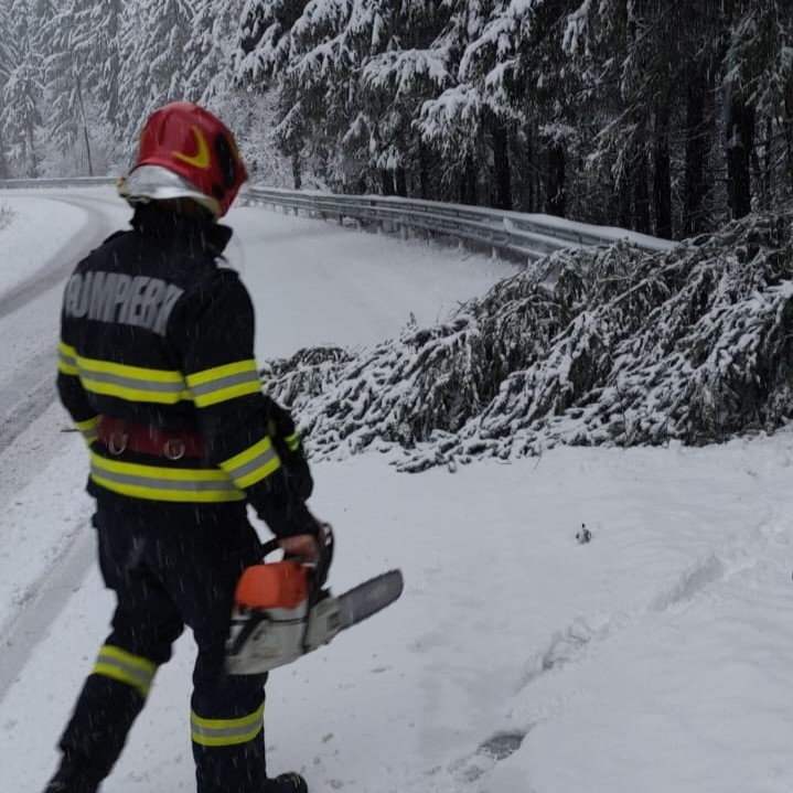 Arbori doborâți pe două drumuri din Cluj. FOTO: ISU Cluj