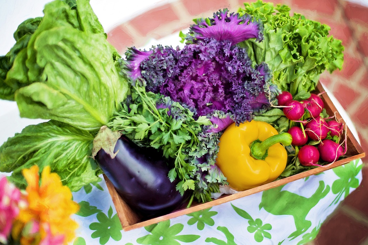 Legume care devin TOXICE când nu sunt gătite corect. FOTO: Pixabay