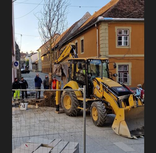 Arbori plantați pe strada Universității/Foto: Andi Daiszler Facebook.com