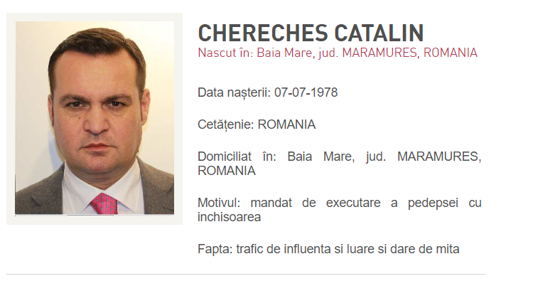 Primarul Cătălin Cherecheș