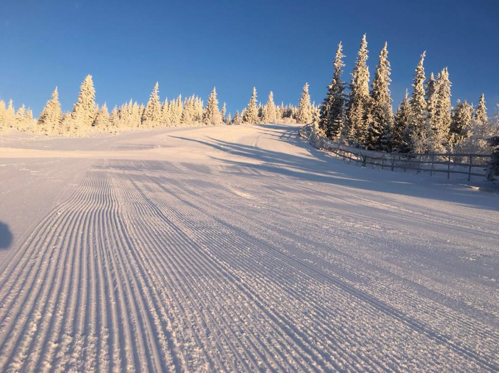 Părtia din Băișoara / Foto: Buscat Resort - Baisoara Facebook