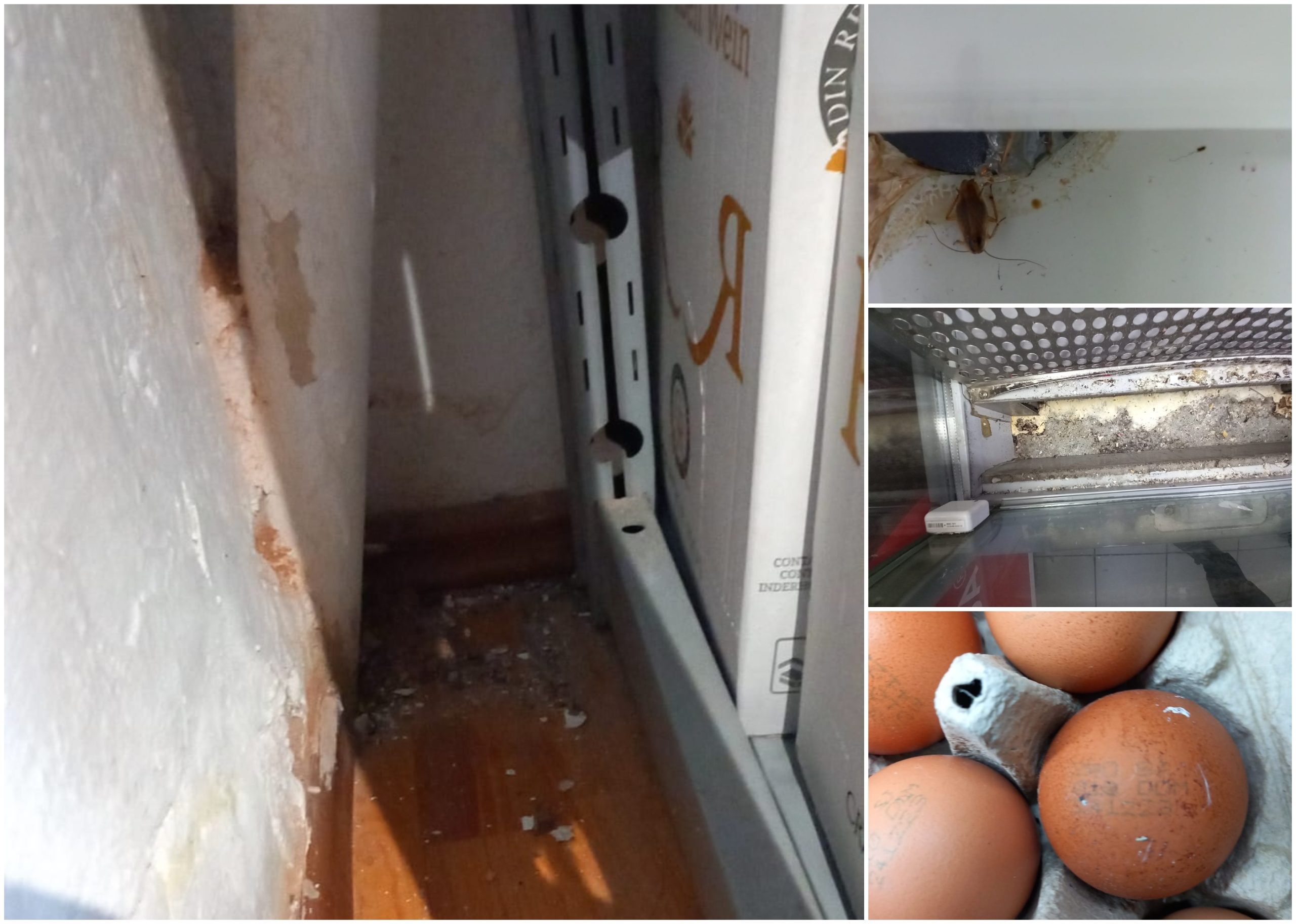 Probleme găsite la un control ANPC la un magazin Home Garden din Cluj-Napoca / Foto: Protecția Consumatorului Cluj