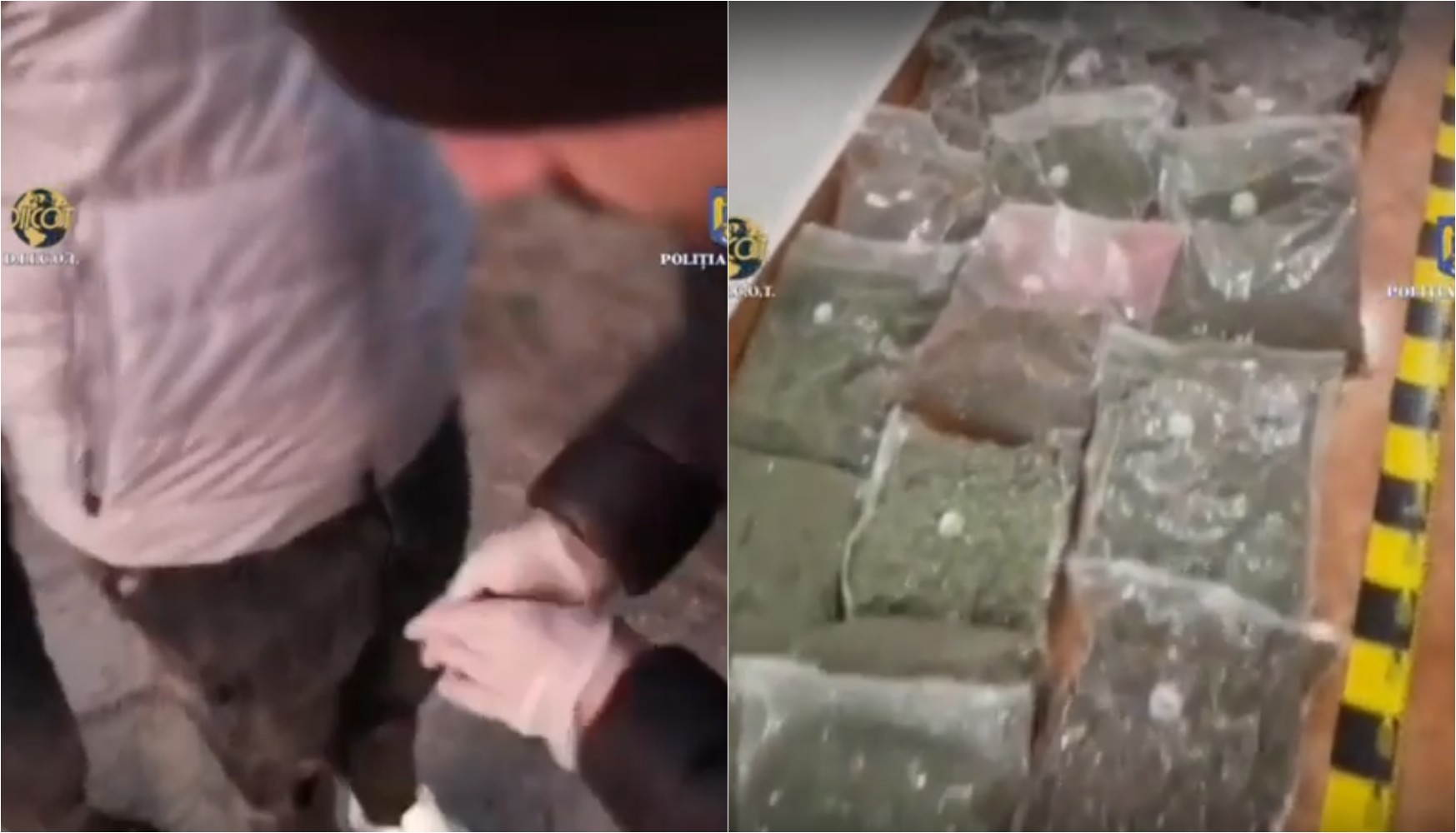 Dealeri care „băgau” droguri în cluburi